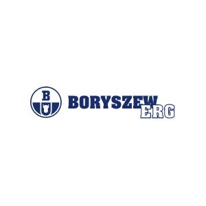 Borygo kokpit - Płyn chłodniczy borygo  - Boryszew ERG