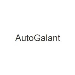 Samochody dostawcze gniezno - Wynajem samochodów - AutoGalant